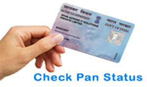 Check Pan Card Status Online